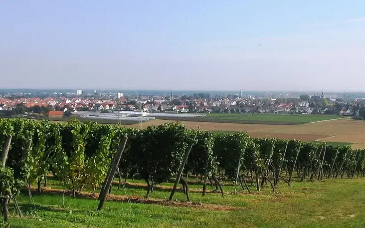 Flughafentransfer Flörsheim