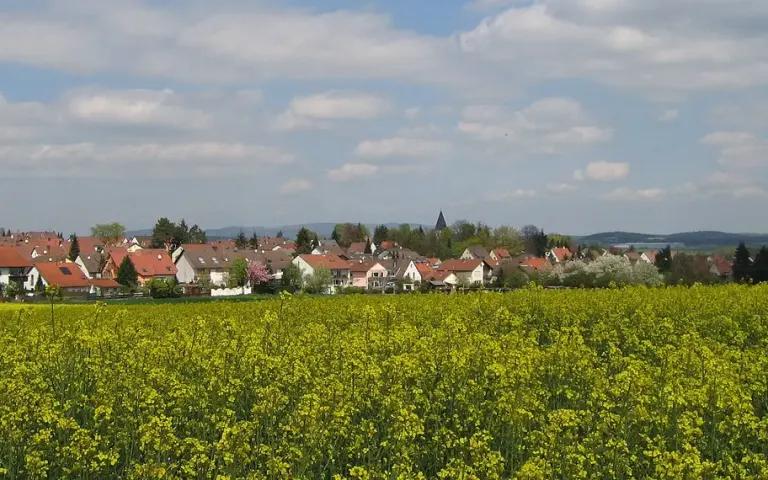 Flughafentransfer Mehlingen
